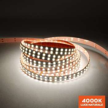 Led strip H.E. series 200W 31000lm 24V IP20 PCB 12mm 1200 SMD 2835 coil en