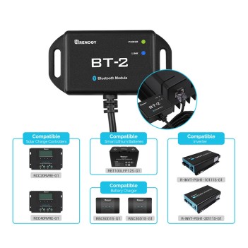 Renogy Modulo Bluetooth BT-2 per Batterie Litio LIFEPO4, Rover Elite