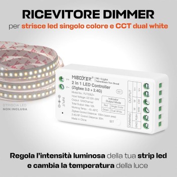 Ricevitore Zigbee 2 in 1: per strisce led monocolore e CCT Dual White