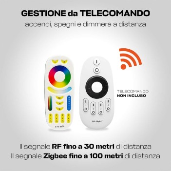 Ricevitore Zigbee 2 in 1: per strisce led monocolore e CCT Dual White