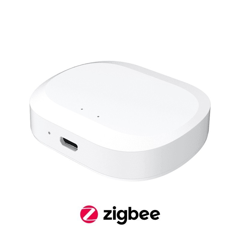 KiWi Centralina Gateway  Zigbee 3.0 VZ-GHZ2 Smart WiFi e LAN