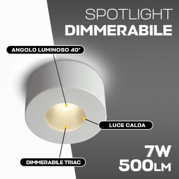 Faretto dimmerabile 7W 500lm 220V IP20 Spotlight cilindrico bianco