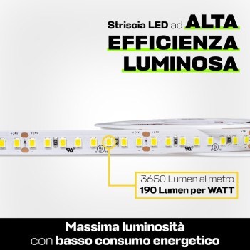 Striscia Led serie H.E. 96W 18250lm 24V IP65 PCB 10mm