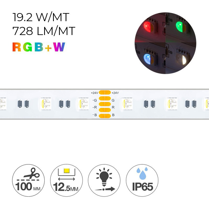 Striscia Led 24V 96W RGBW 5mt 300 SMD 5050 da Esterno IP65