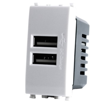 Dual USB Socket 1 Module T2 White / Black / Silver Compatible Vimar Plana