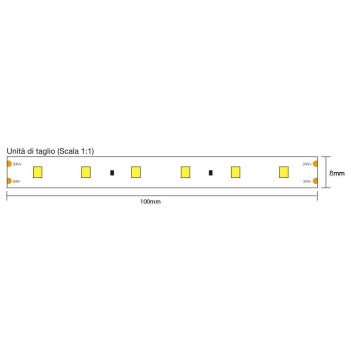 Striscia Led 20 metri 144W 16.000 Lumen DC 24V IP20 PCB 8mm